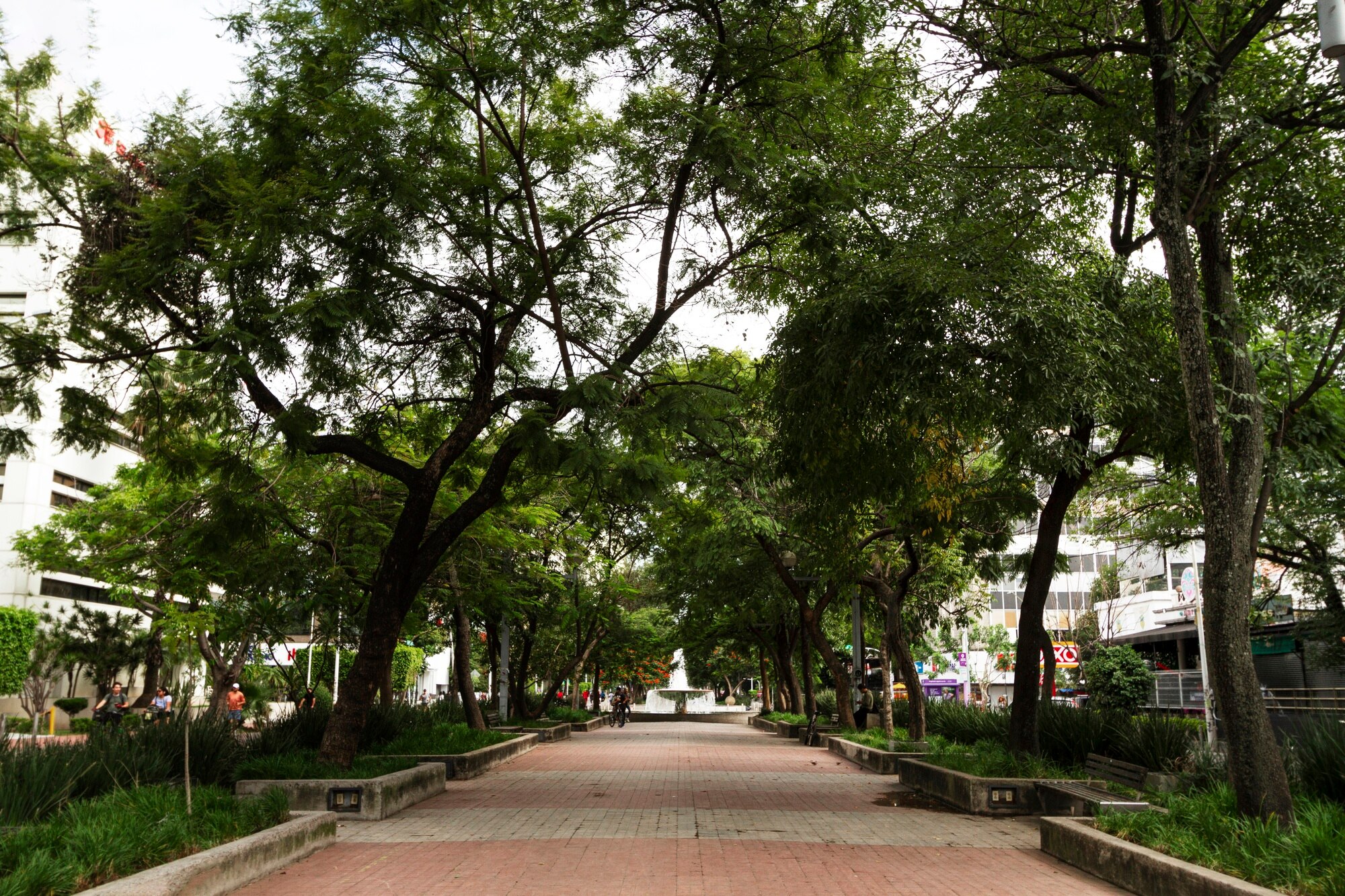 Parque urbano colombiano